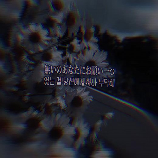 kanaria - KING 가사 해석과 추천: 시험기간에 듣기 좋은 일본 노래