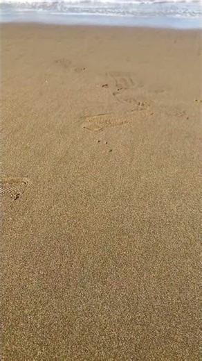 快晴に穏やかな海🌊#晴れ #景色綺麗 #海 # リラックス#癒し #sea #beach #sky