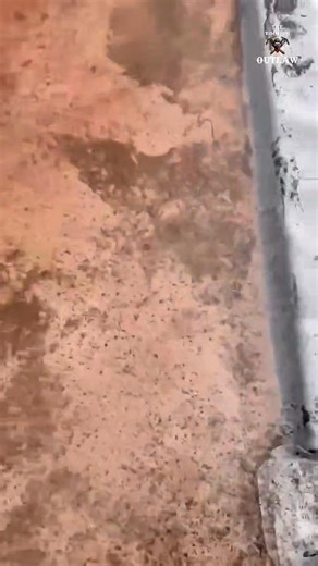 38K views · 168 reactions | This swimming pool cost £16,000 Welcome to another episode of Sh!t Roofing. #TheRoofingOutlaw | The Roofing Outlaw | Facebook