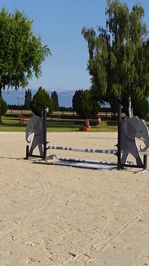 7.8K views · 89 reactions | Monter sans pression, facile à dire... Comment avoir un cheval franc à l'obstacle ⤵️ sio.terredesportequestre.com/soubassements #horsetraining #cheval #equitation #jumping #horse #horseriding | Terre de Sport Equestre | Facebook