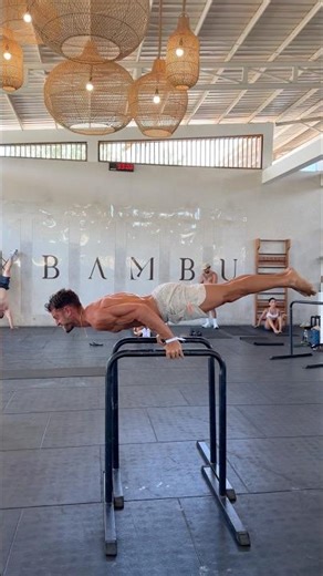 Calisthenics is about the journey (read below)
