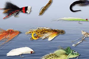 These 11 Flies Will Land You Monster Bass
