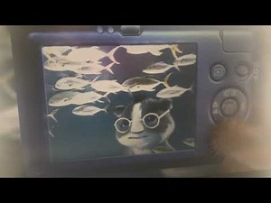 Where in the world is hooper part 4 bakery