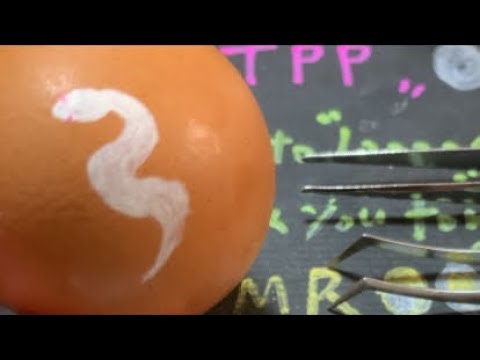 raw egg peeling! alien technic！ TPP