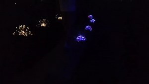 Watch Solar firework light show on Amazon Live