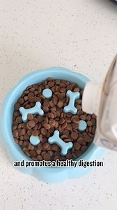 26/14 Small Breed Dog Food – The New Standard for Small Dogs 🔥 Take your dog's nutrition to the next level with 26/14 Small Breed Dog Food, a powerful blend delivering 383 calories per cup, with 26% protein and 14% fat. It is specifically formulated to promote muscle growth and energy in small breeds. A key ingredient in the formula is TruMune®, which boosts immunity and vitality. This formula ensures small breed dogs get the best support for their well-being!: https://shop.bullymax.com/product