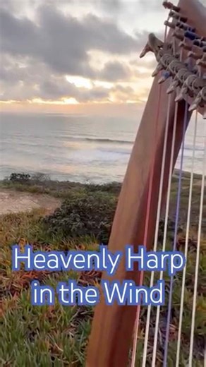 Heavenly Aeolian Harp in the Wind | Coastal Beauty 🌊