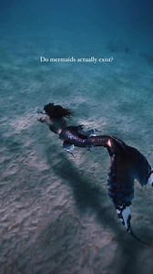 Mermaid/ Siren lore exists in almost every culture, do you think there could be any truth to it 🐚 #siren #mermaid #conspiracies tail by Merbella Studios Inc. | Mermaid Sirenity