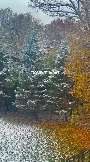 Waking up to this view 😍 | Reflections of a simple mind