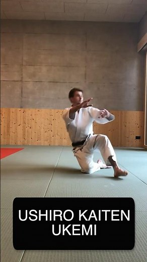 Learn the Aikido Backwards Roll in 4 Easy Steps