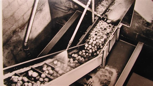 Jersey Firsts: The stories of innovation in NJ, from blueberries to breweries