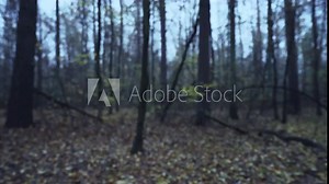 Crime scene marked with police warning tape, coroners investigating murder