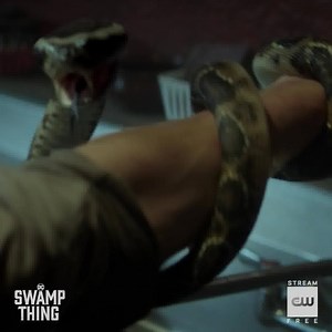 2.2K reactions · 636 shares | There’s something in the water. Swamp Thing airs Tuesday at 8/7c. Stream next day free only on The CW! | DC's Swamp Thing | Facebook