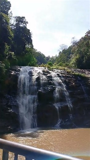 Relaxing Waterfall Sounds 🌊 Nature Therapy