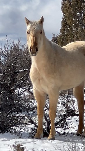 18K views · 7.7K reactions | Skyzeeeeee  So I went out with...