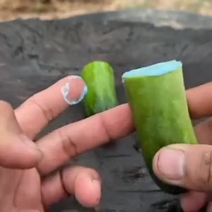 4.3K views · 29 reactions | Planting Cucumber using fruit #cucumber #cucumberchallenge #vegetables #vegestables #gardening Gardening Ideas Fruit Bearing Grafted Seedling Gardening Tips Green Garden Tips rdining | Violita Padayon | Facebook