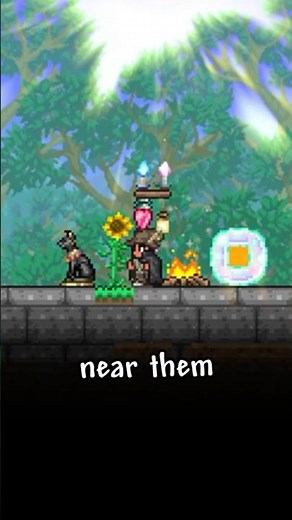 ALL Buff Items In Terraria Explained!!