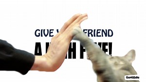 Give all your friends (furry or not) a High-Five! 🖐️ Celebrate #NationalHighFiveDay with Kitty High Five only on GoNoodle. | GoNoodle