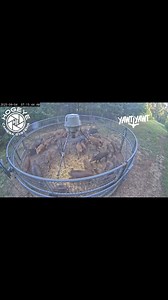 Big drop!!! #yawtyawt | Yawt Yawt