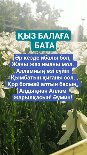 Өсиет #ғибраттысөздер #қанаттысөздер #даналықсөздер #нақылсөздер