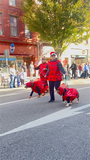What it’s a #ladybug costume on parade | Emerald Vines
