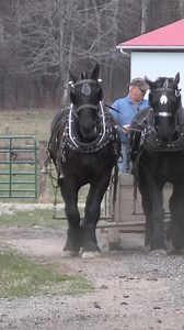 Clips from a visit to Ralph Rice’s farm. Check out more videos like this and full episodes of Rural Heritage on our Youtube Channel. | Rural Heritage Magazine