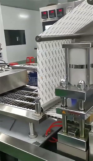 Fully Automatic Blister Packing Machine with Robotic Unloading for Syringes & Ampoules
