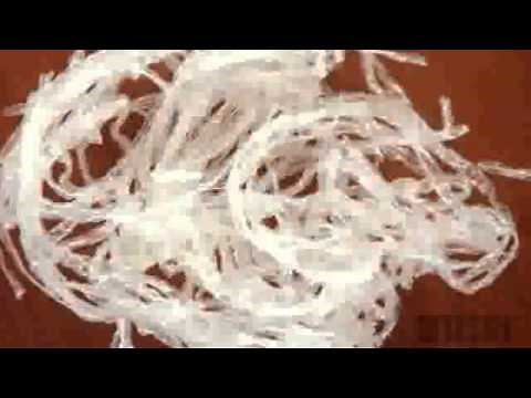 Agar - Hints and Tips