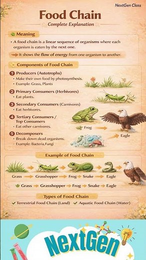 Food Chain Explained | Producers, Consumers & Decomposers | Easy Science 🌿🐯