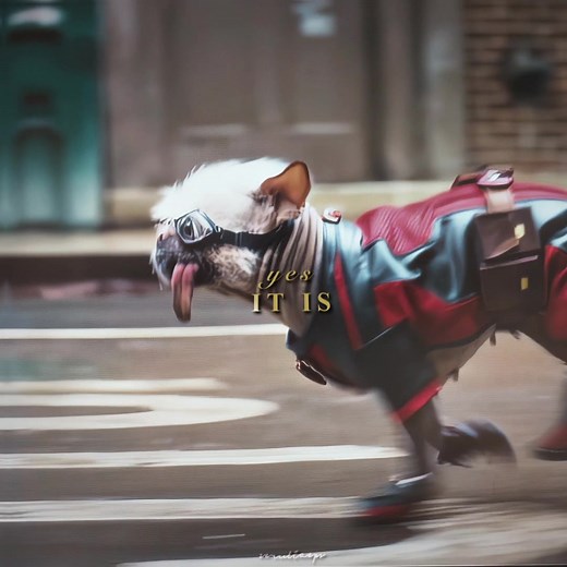 Dogpool and Deadpool Reunite ft. Ryan Reynolds | Marvel Edit