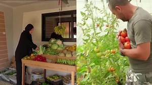 Back to the land: Lebanese family turns to farming to survive crises