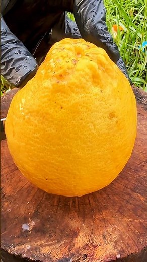 wow 😲😳 #fruit #bestdragonfruit #viral #fruitcutting #reddragonfruit #food