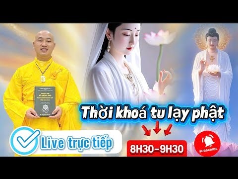 Trực Tiếp Lễ Phật 08H30 #thaynhuanthinh #layphat #niemphatthanhphat #loiphatday