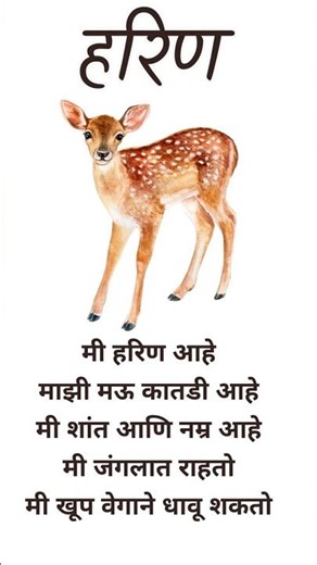 🦌 वेगवान आणि शांत हरिण – जलद धावणारा जंगल प्राणी | Deer for Kids