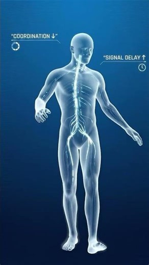 🍺 Alcohol Effects on Health video