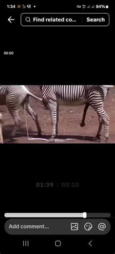xxxx seeex africaan (@miukkkkxxxx)’s videos with original sound - xxxx seeex africaan