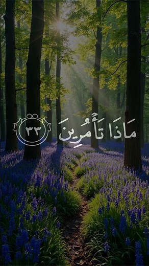 قالت إن الملوك إذا دخلوا قرية أهلكوها وجعلوا أعزة أهلها أذلة - تلاوة اسطورية للشيخ يوسف البهتيمي