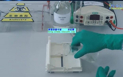 逆转录聚合酶链式反应(RT-PCR)