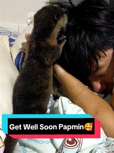 Berlin si Otter puk2 papmin dlu😍 #otter #ottersoftiktok #petsoftiktok #fyp