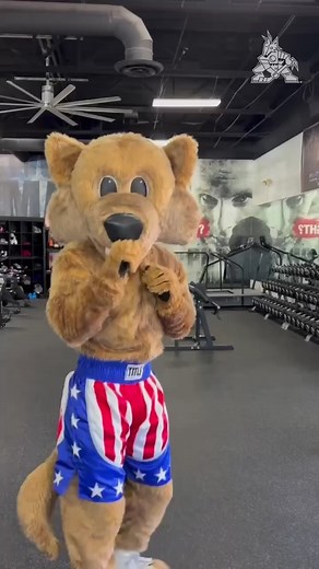 Eye of the t̶i̶g̶e̶r̶ Howler. To be a champion, you have to train like a champion. So to prepare for his Mascot Madness Championship bout and the chance to be named the NHL's top mascot by ESPN, Howler hit Fight Ready MMA and Fitness to train with UFC fighters Tracy Cortez & Kelvin Gastelum. Follow the Coyotes on Twitter to vote ➡️ https://bit.ly/3PRP5bg | Arizona Coyotes