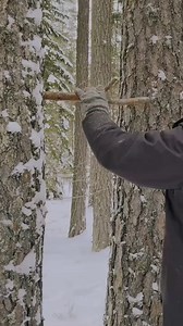 329K views · 3.2K reactions | 25_Shelter for survival in the wild part 1 #bushcraft #build #camp #camping #ourdoor #survival | Bushcrafting | Facebook