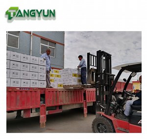 [Hot Item] Livestock Fly Control Diflubenzuron 25%Wp