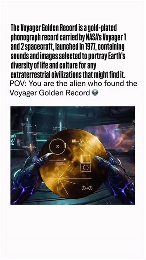 Pulsar Society on Instagram: "The Voyager Golden Record is a gold-plated phonograph record carried by NASA's Voyager 1 and 2 spacecraft, launched in 1977, containing sounds and images selected to portray Earth's diversity of life and culture for any extraterrestrial civilizations that might find it. As a cosmic "message in a bottle," it features greetings in 55 languages, music from various cultures (like Bach, Chuck Berry, and indigenous music), natural sounds (animals, weather), and diagrams e