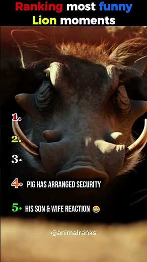 Ranking the Most Funny Animal Moments Ever 😂 | Laugh Non-Stop!#FunnyAnimals#viral #shorts