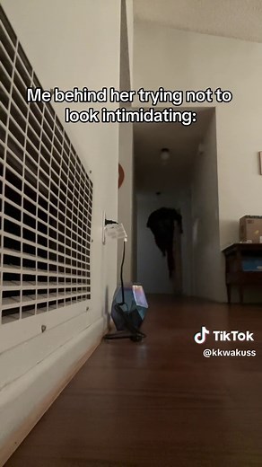 WHY ARE YOU RUNNING👹👹👹 | walk