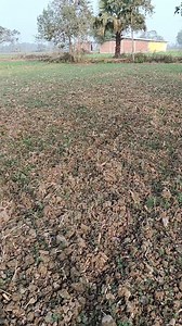 Abhishek Raj Raja on Reels