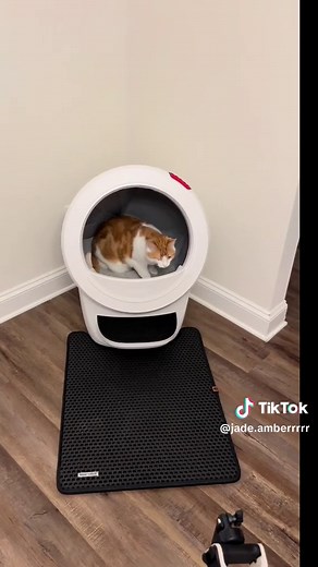 Unboxing the Litter Robot 4: A New Cat Litter Solution