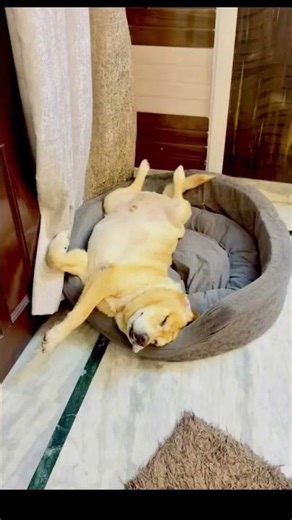 miss you Leo 😭😭😭😭 you always my heart ❤️