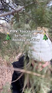 Harvest your own Christmas tree with Denver Mountain Parks! Wear snow boots and bring a hand saw, gloves, and rope to harvest and transport your tree! Tree cutting permits are available through December. Email DenverMountainParks@denvergov.org to receive your permit. | City and County of Denver Government