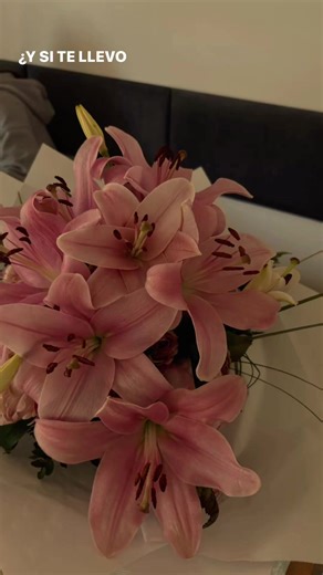 Exploring the Meaning of Different Flowers